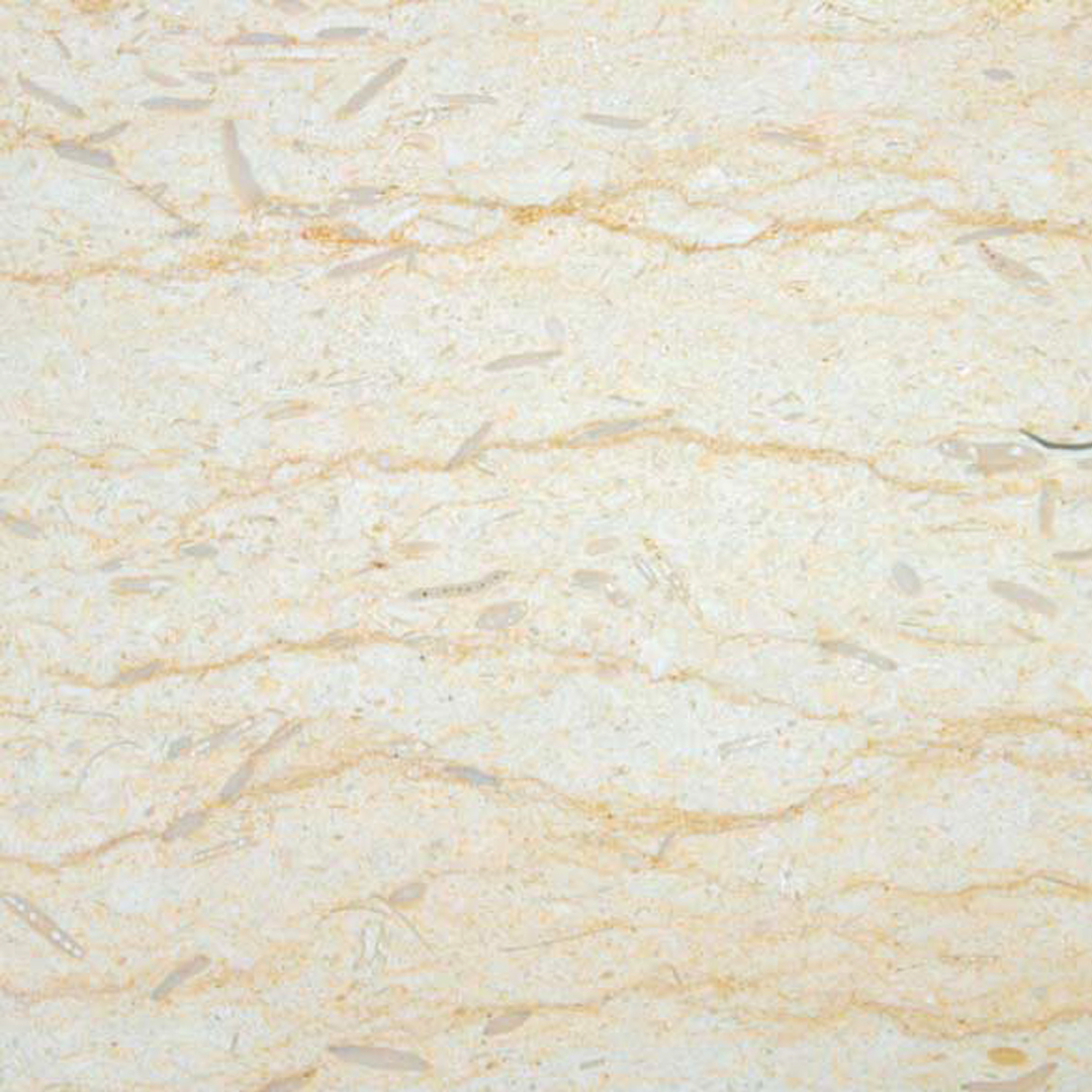 Silvia limestone vein-cut texture
