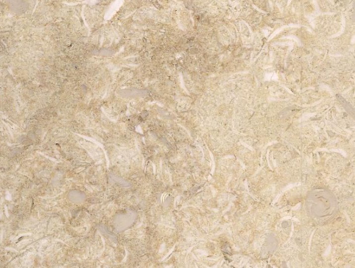 Sunny Menia limestone tile surface