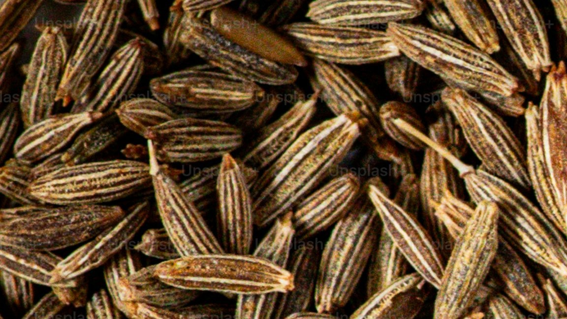 Fennel seeds